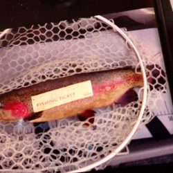 フィッシングレイクたかみや 釣果