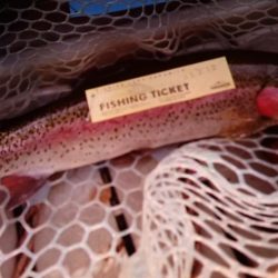 フィッシングレイクたかみや 釣果