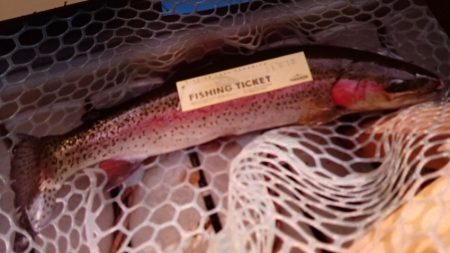 フィッシングレイクたかみや 釣果