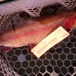 フィッシングレイクたかみや 釣果