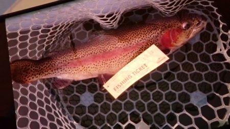 フィッシングレイクたかみや 釣果