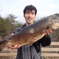 フィッシングレイクたかみや 釣果