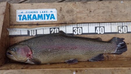 フィッシングレイクたかみや 釣果