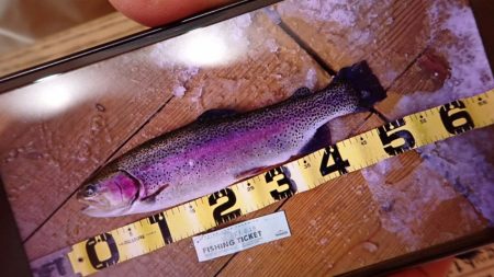 フィッシングレイクたかみや 釣果