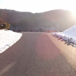 フィッシングレイクたかみや 釣果