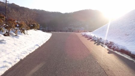 フィッシングレイクたかみや 釣果