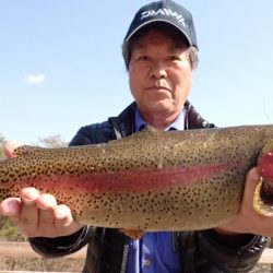 フィッシングレイクたかみや 釣果