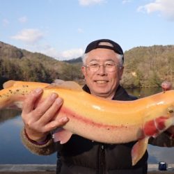 フィッシングレイクたかみや 釣果