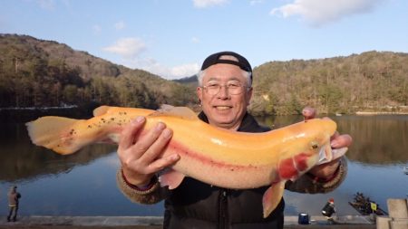フィッシングレイクたかみや 釣果