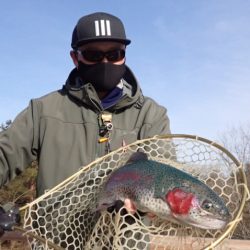 フィッシングレイクたかみや 釣果