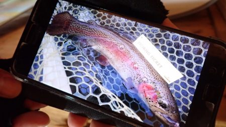 フィッシングレイクたかみや 釣果