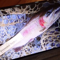 フィッシングレイクたかみや 釣果