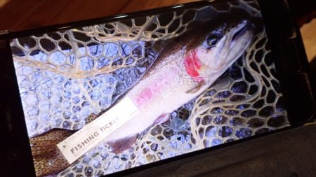 フィッシングレイクたかみや 釣果