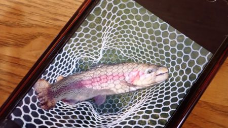 フィッシングレイクたかみや 釣果