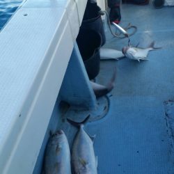 第五慶門丸 釣果