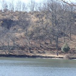 志高湖フィッシング 釣果