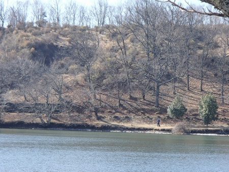 志高湖フィッシング 釣果