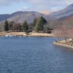 志高湖フィッシング 釣果