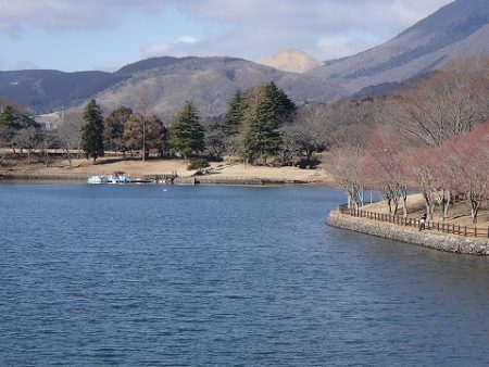 志高湖フィッシング 釣果