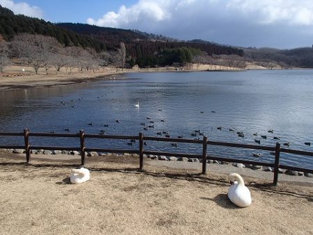 志高湖フィッシング 釣果