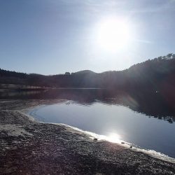 志高湖フィッシング 釣果