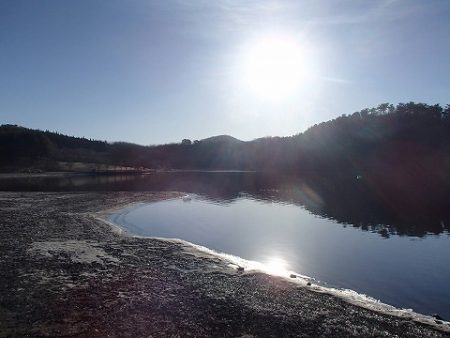 志高湖フィッシング 釣果