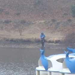 志高湖フィッシング 釣果