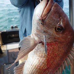 FISHING RISKY 釣果