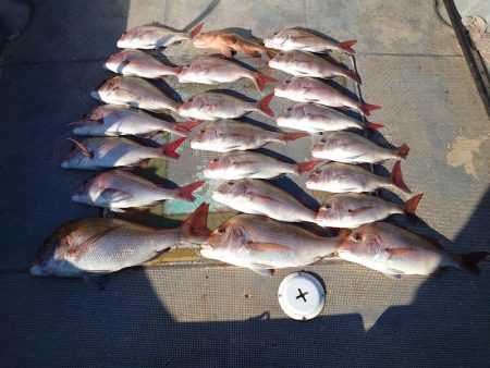 FISHING RISKY 釣果