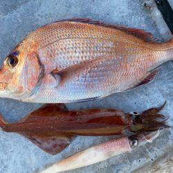 「LaGooN」蒼陽丸 日和号 釣果