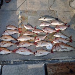 FISHING RISKY 釣果