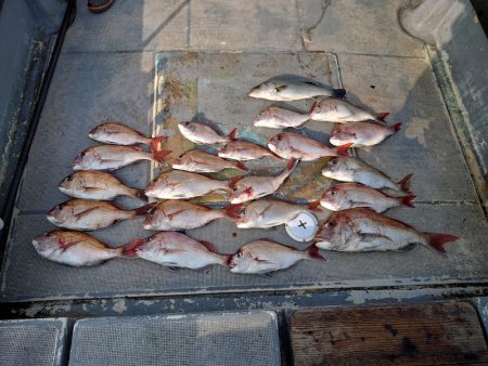 FISHING RISKY 釣果