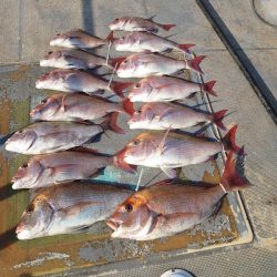 FISHING RISKY 釣果