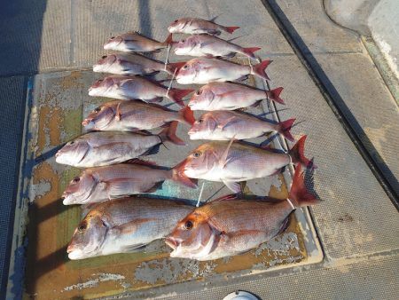 FISHING RISKY 釣果