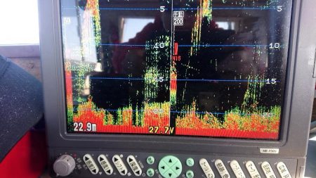 深川　吉野屋 釣果