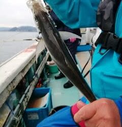 松福丸 釣果