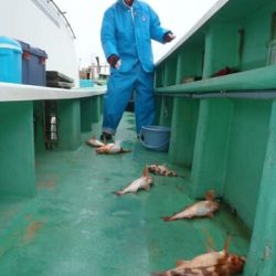 第二むつ漁丸 釣果