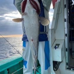 広進丸 釣果