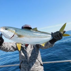 ジギング船 BLUEWATER 釣果