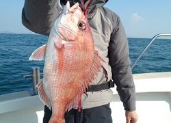 愛裕南丸 釣果