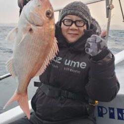 ブルーピア 釣果