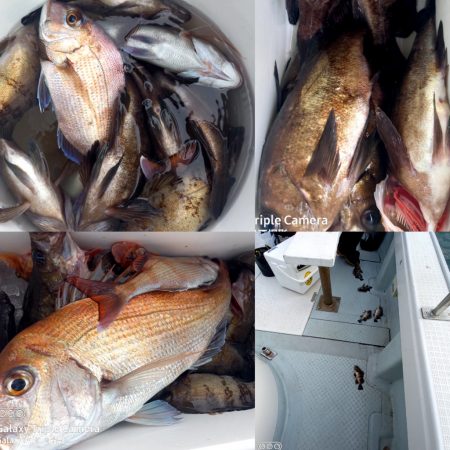 内浜丸 釣果