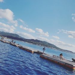 本部釣りイカダ 釣果