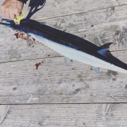 本部釣りイカダ 釣果