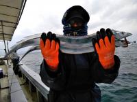 おおせき丸 釣果