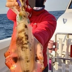 フィッシングボートACE(エース) 釣果