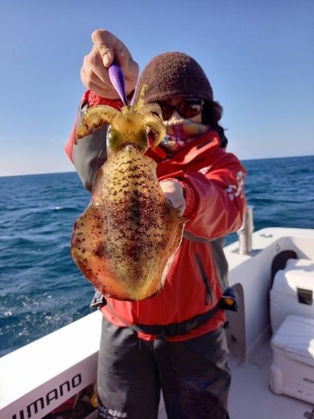 フィッシングボートACE(エース) 釣果