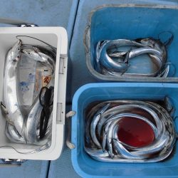 十八宝洋丸 釣果