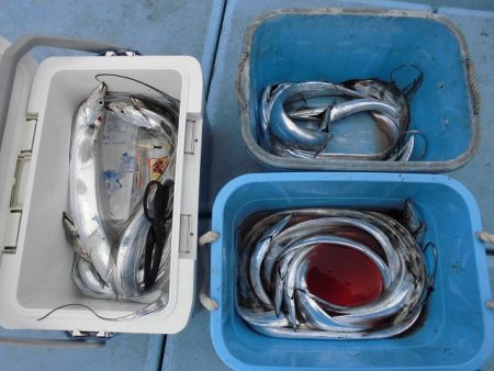 十八宝洋丸 釣果