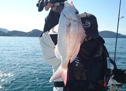 愛裕南丸 釣果